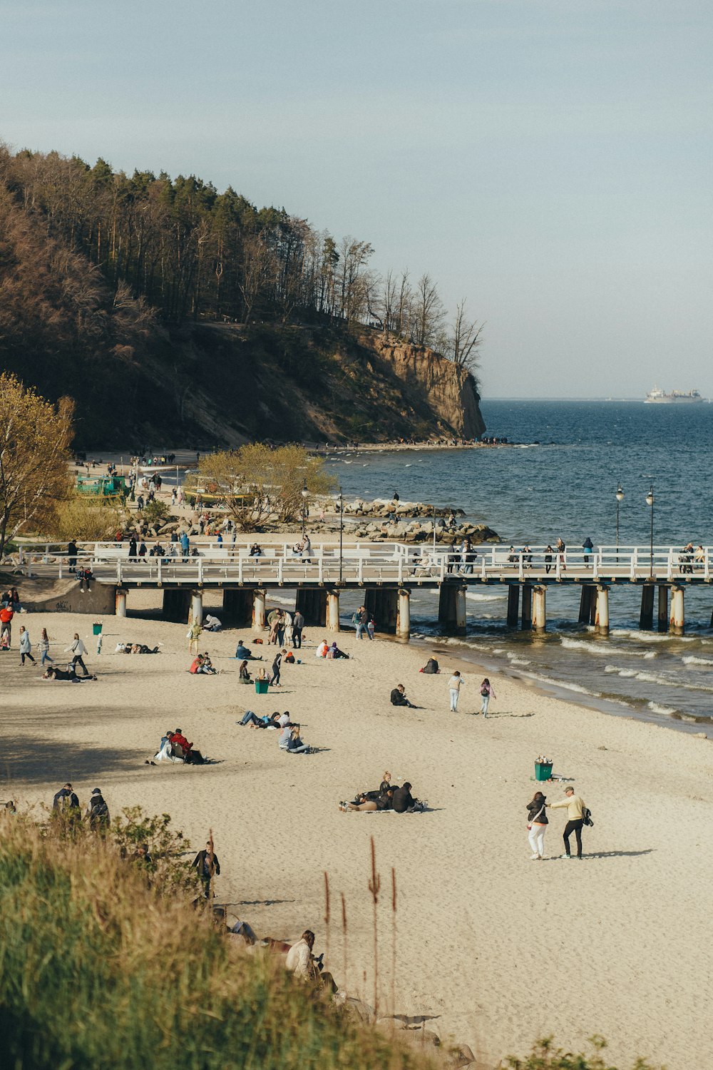 a group of people sitting on top of a sandy beach