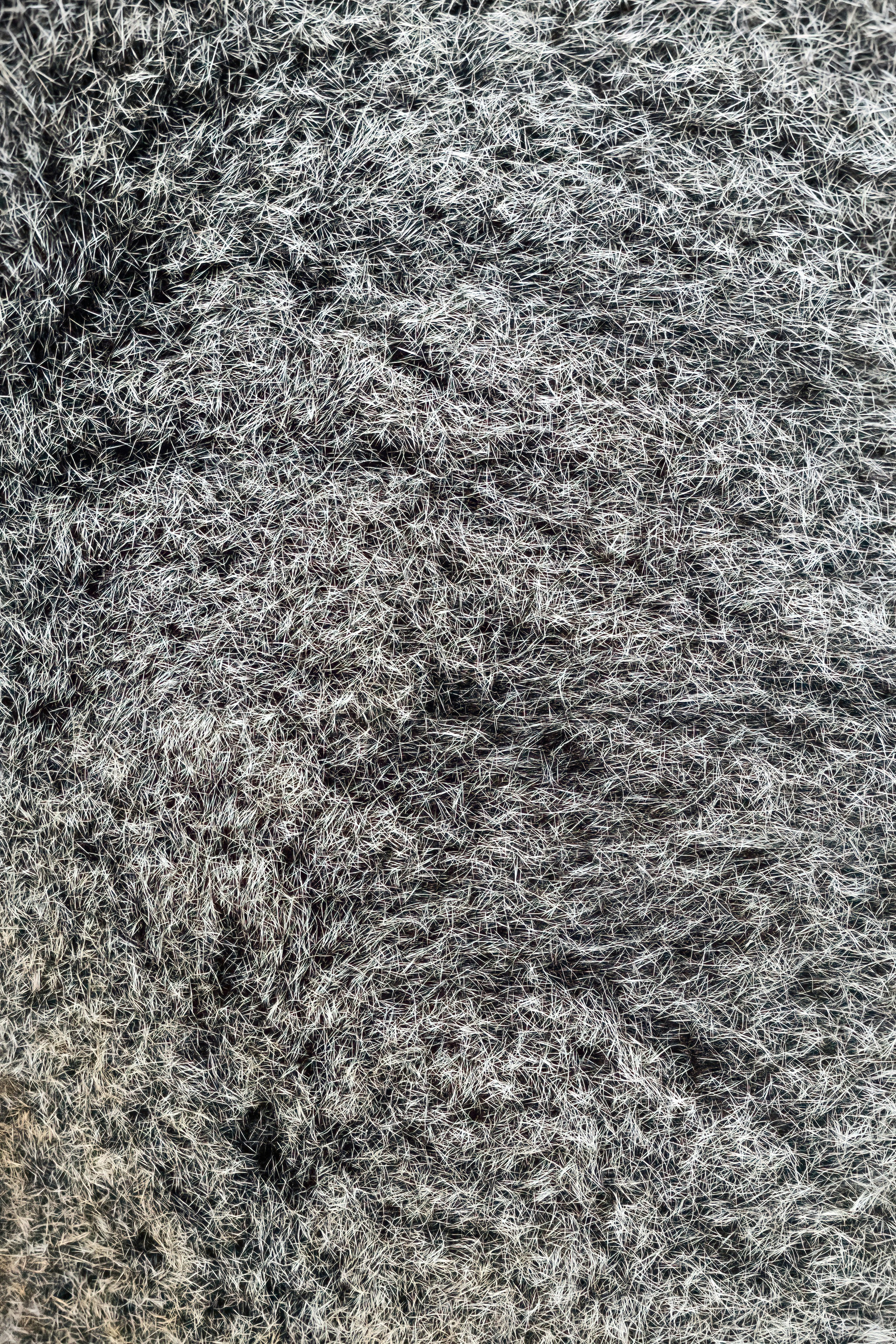 Orchestrating Message Consistency Across Hostile Stakeholder Groups