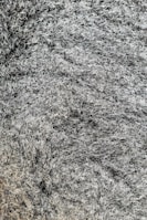 A close-up of intricate dark textures and patterns.