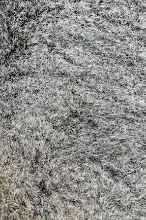 A close-up of intricate dark textures and patterns.