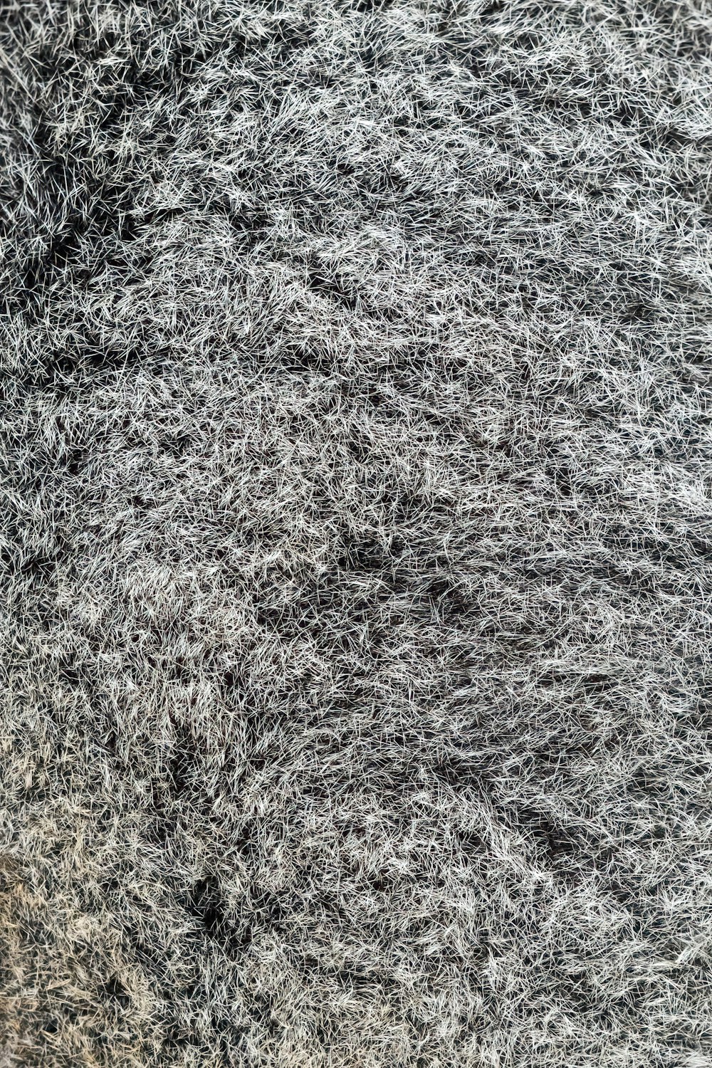 a close up of a black and white rug