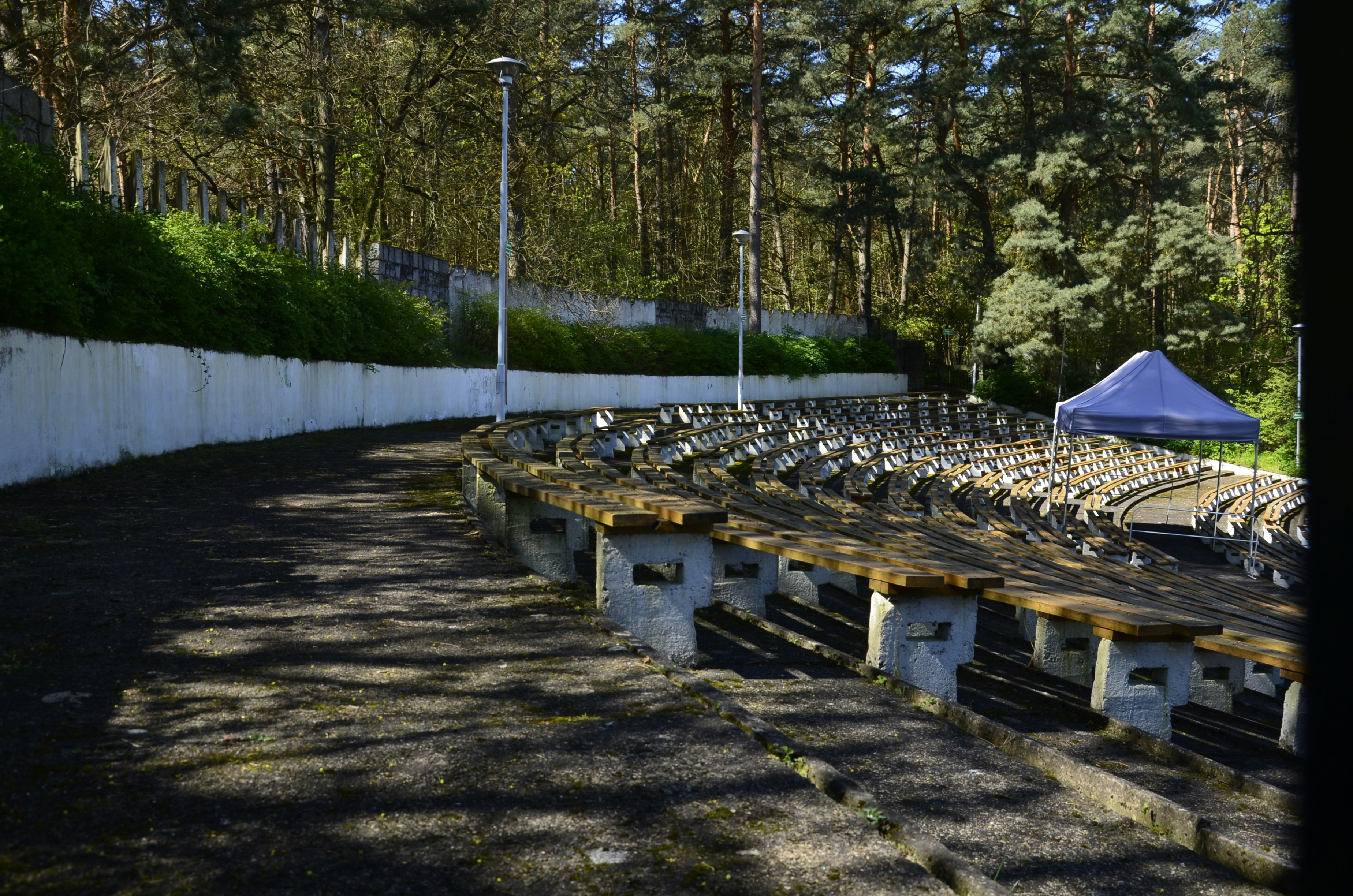 a row of wooden benches sitting next to a forest