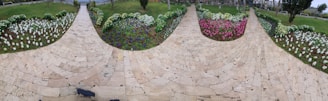 Freshly mulched flower beds surrounding a charming stone pathway.