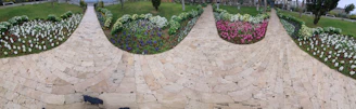 A vibrant garden with freshly mowed lawn, blooming shrubs, and a beautifully installed stone pathway.