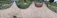 A freshly landscaped backyard featuring a mix of vibrant flowers, neatly trimmed shrubs, and a stone pathway.