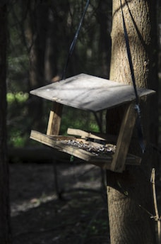 A simple wooden bird feeder hangs from a tree in a forest. The feeder contains seeds and is constructed from raw, unpolished wood. It is suspended with dark straps and surrounded by natural wooded scenery, with dappled sunlight casting shadows on it.