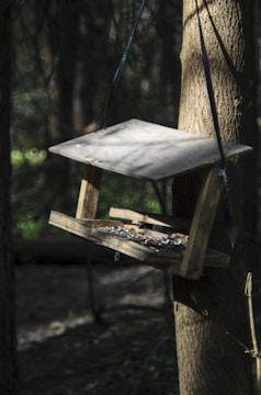 A simple homemade bird feeder hanging from a tree branch.