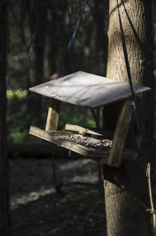 Minimalist wooden bird feeder with clean lines and natural finish on a porch.