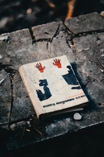 A book with a white cover featuring black and red illustrations, including two red hands positioned above an abstract figure. The book is positioned on a rough stone surface outdoors, with scattered debris and twigs surrounding it.