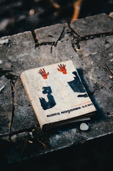 A book with a white cover featuring black and red illustrations, including two red hands positioned above an abstract figure. The book is positioned on a rough stone surface outdoors, with scattered debris and twigs surrounding it.