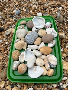 Piedras Vitales