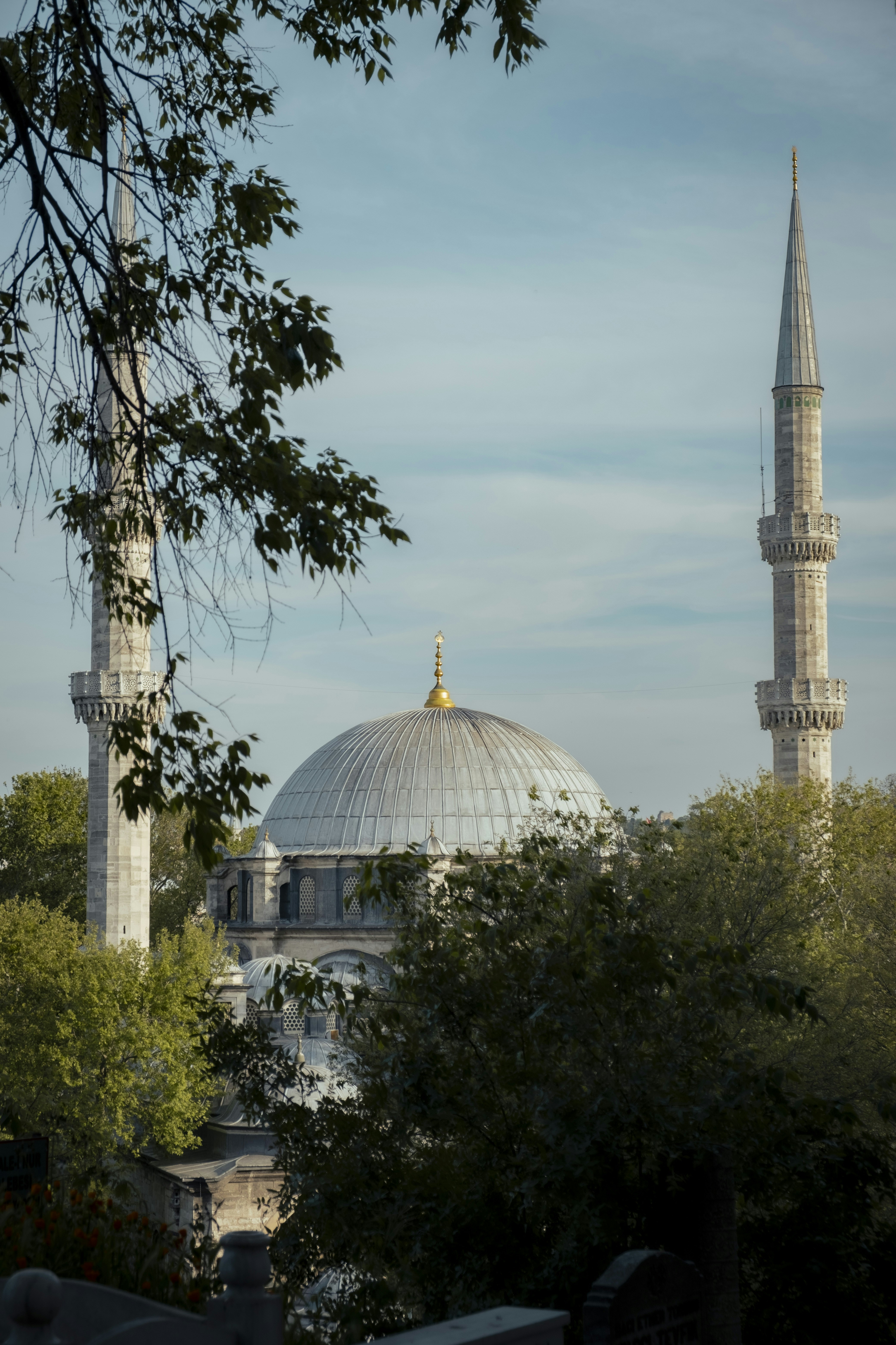 Photo by zeynepsudephoto