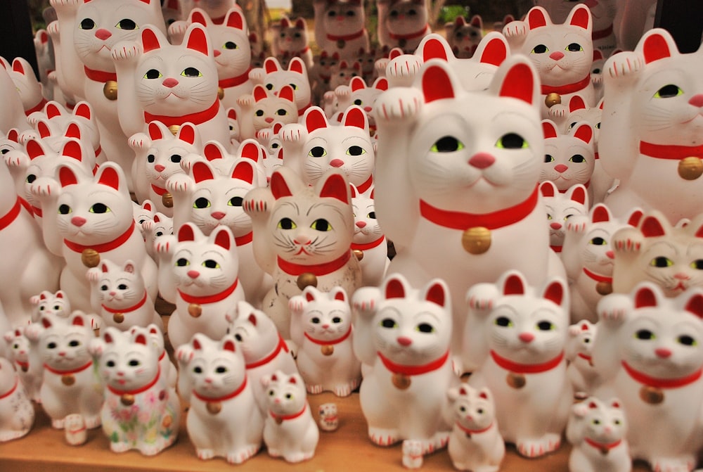 eine große Gruppe weißer Katzen mit roten Halsbändern
