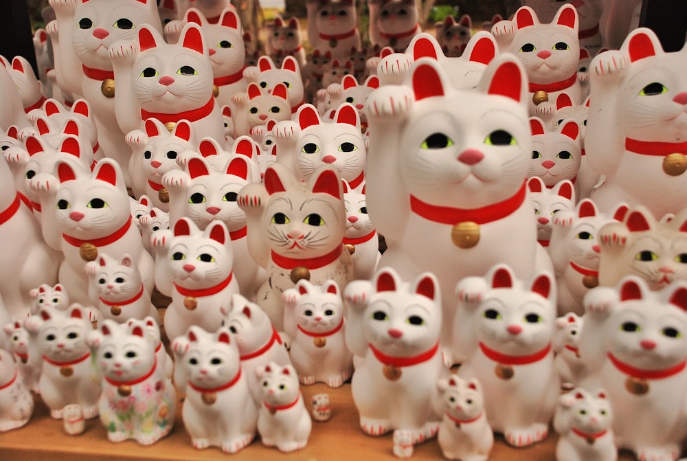 Un gran grupo de gatos blancos con collares rojos