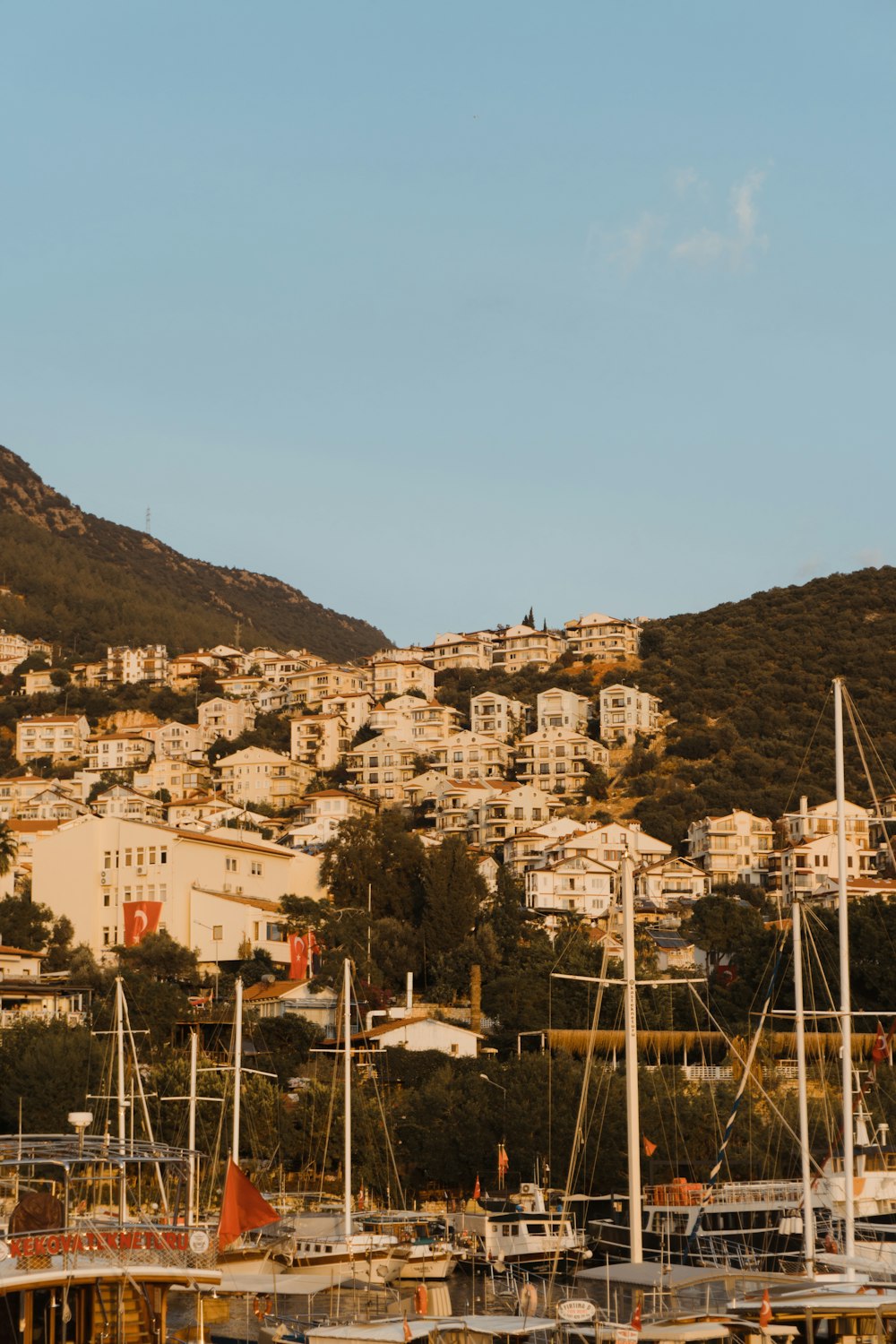 a harbor filled with lots of boats next to a hillside