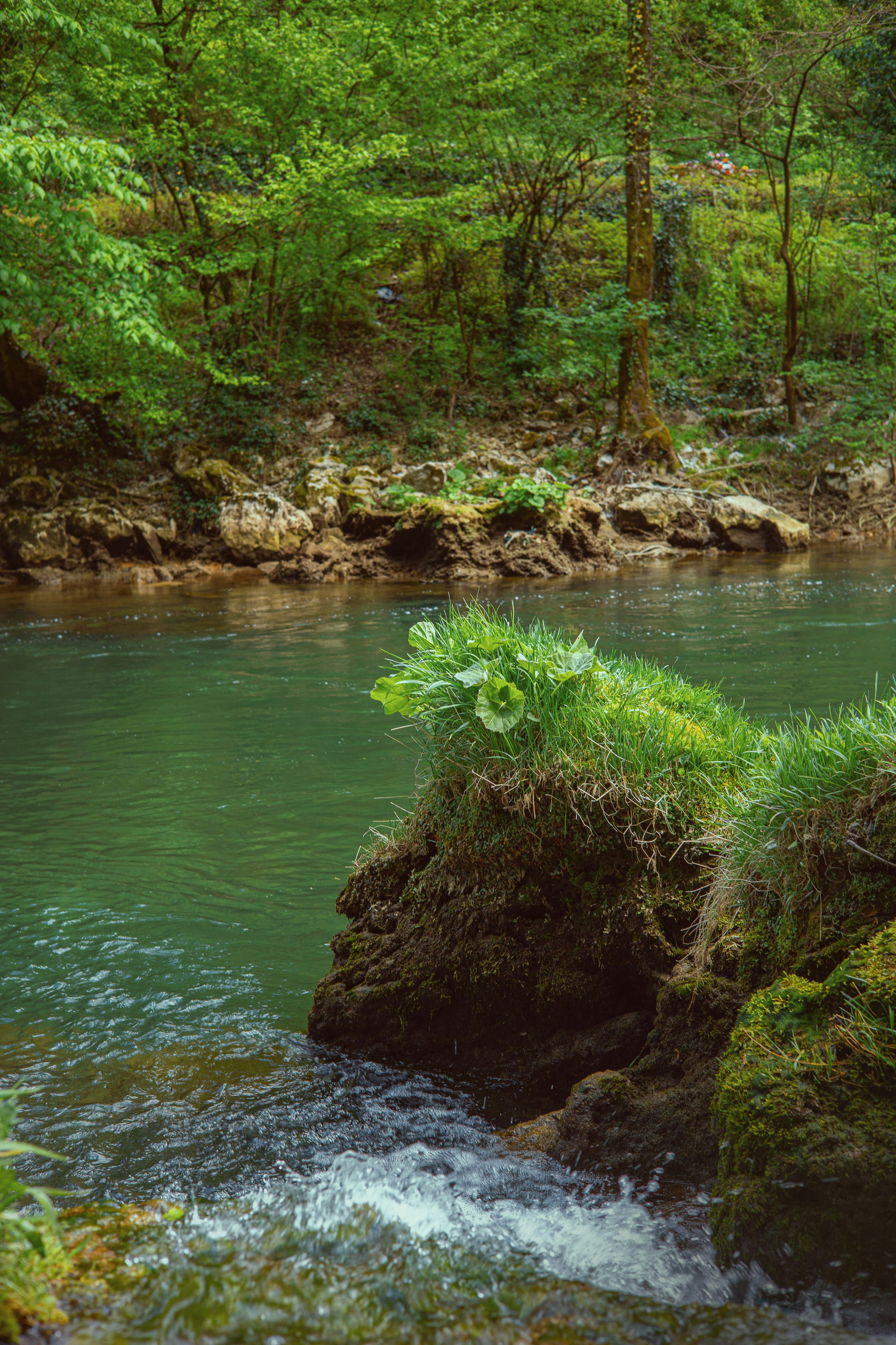 Forest stream water wallpaper, ilustrasi artikel Stay Hydrated Safely: Your Guide to Portable Backcountry Water Filters 6
