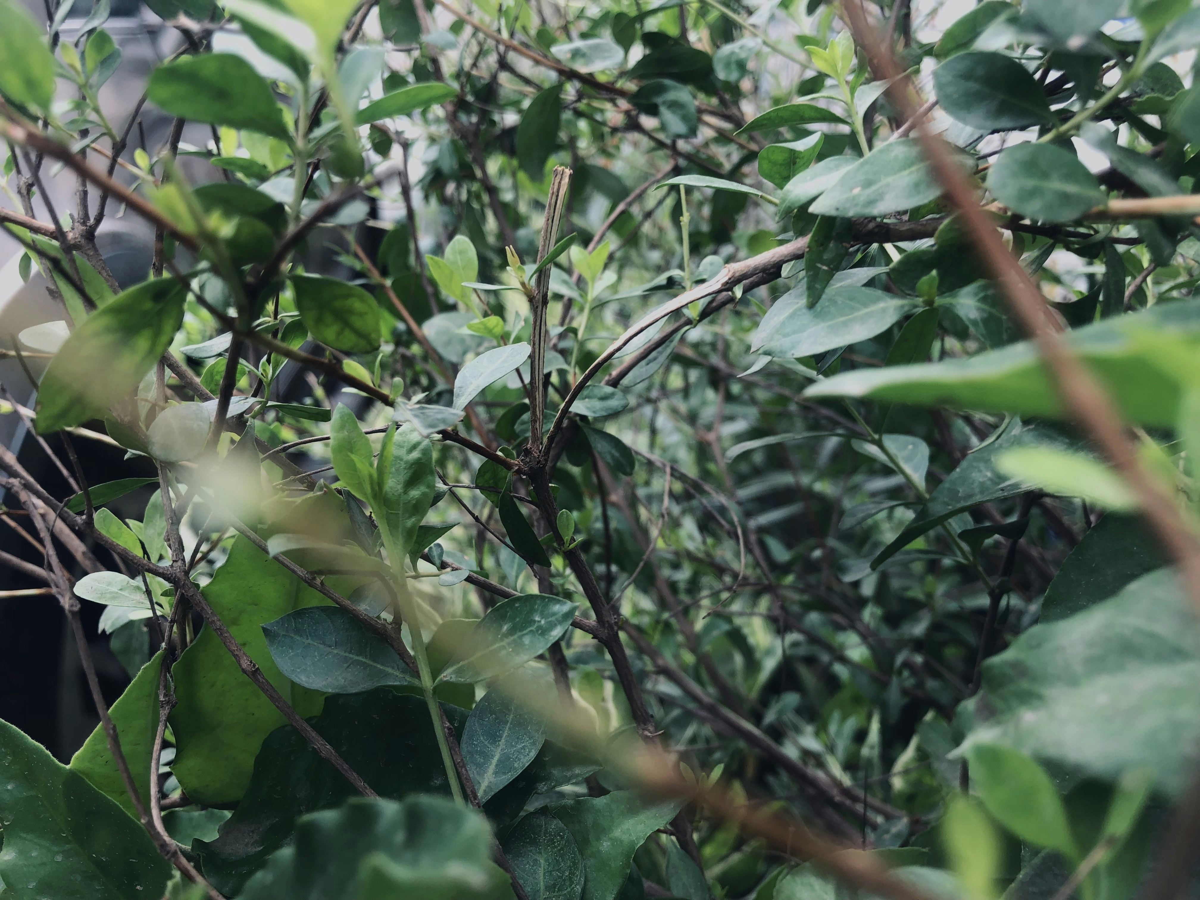 Photo by simranbhardwajpro