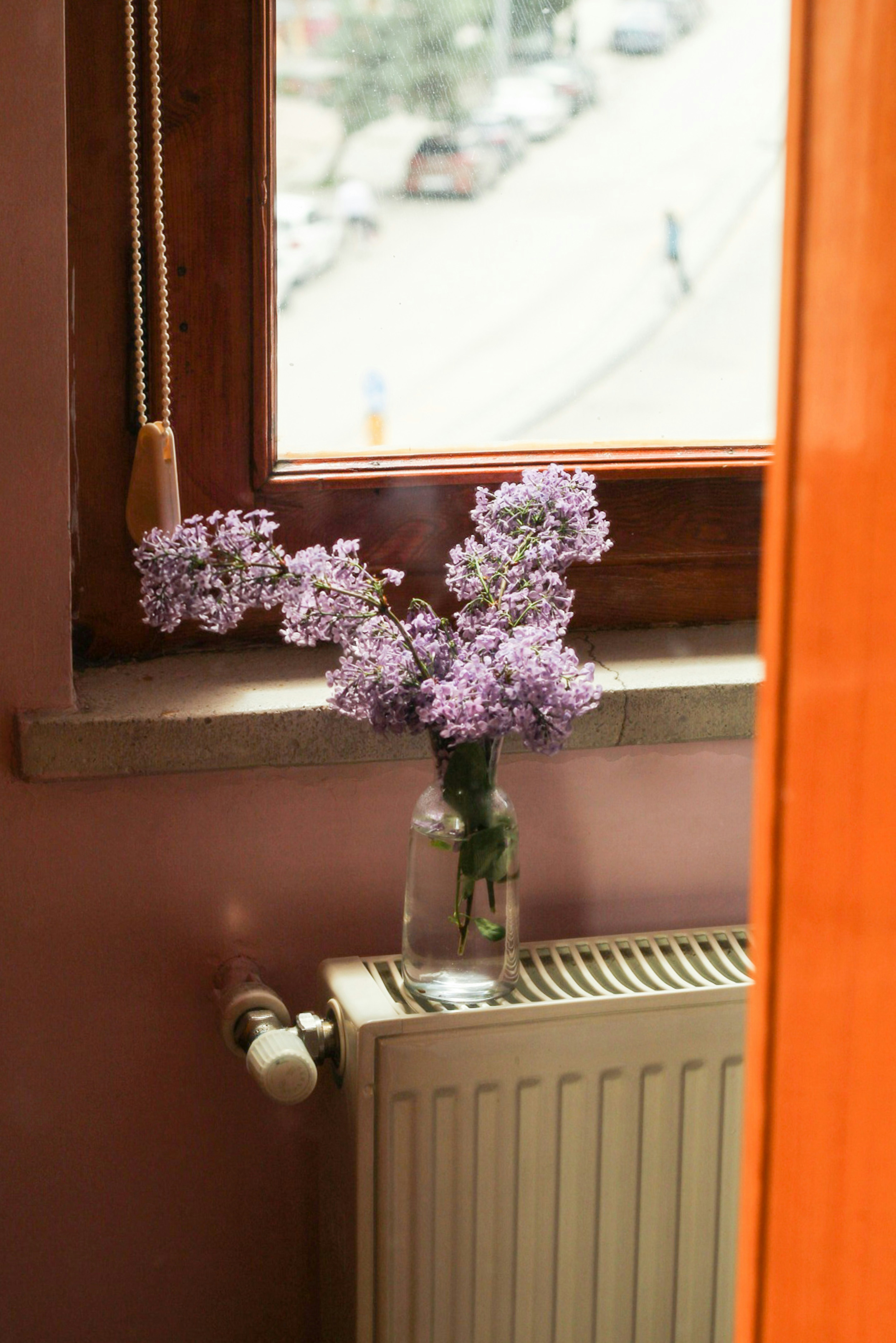 Photo by esrakorkmaz