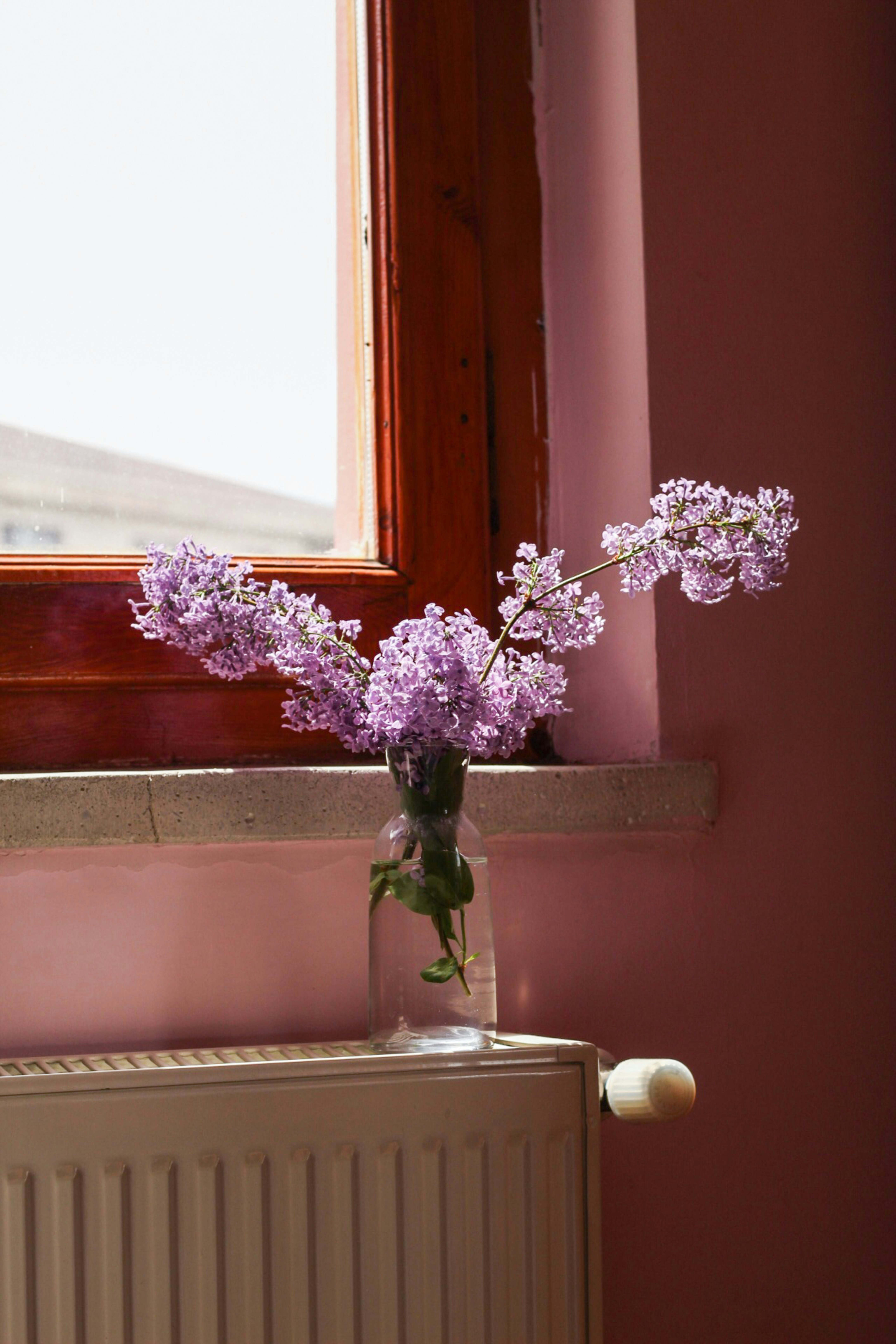 Photo by esrakorkmaz