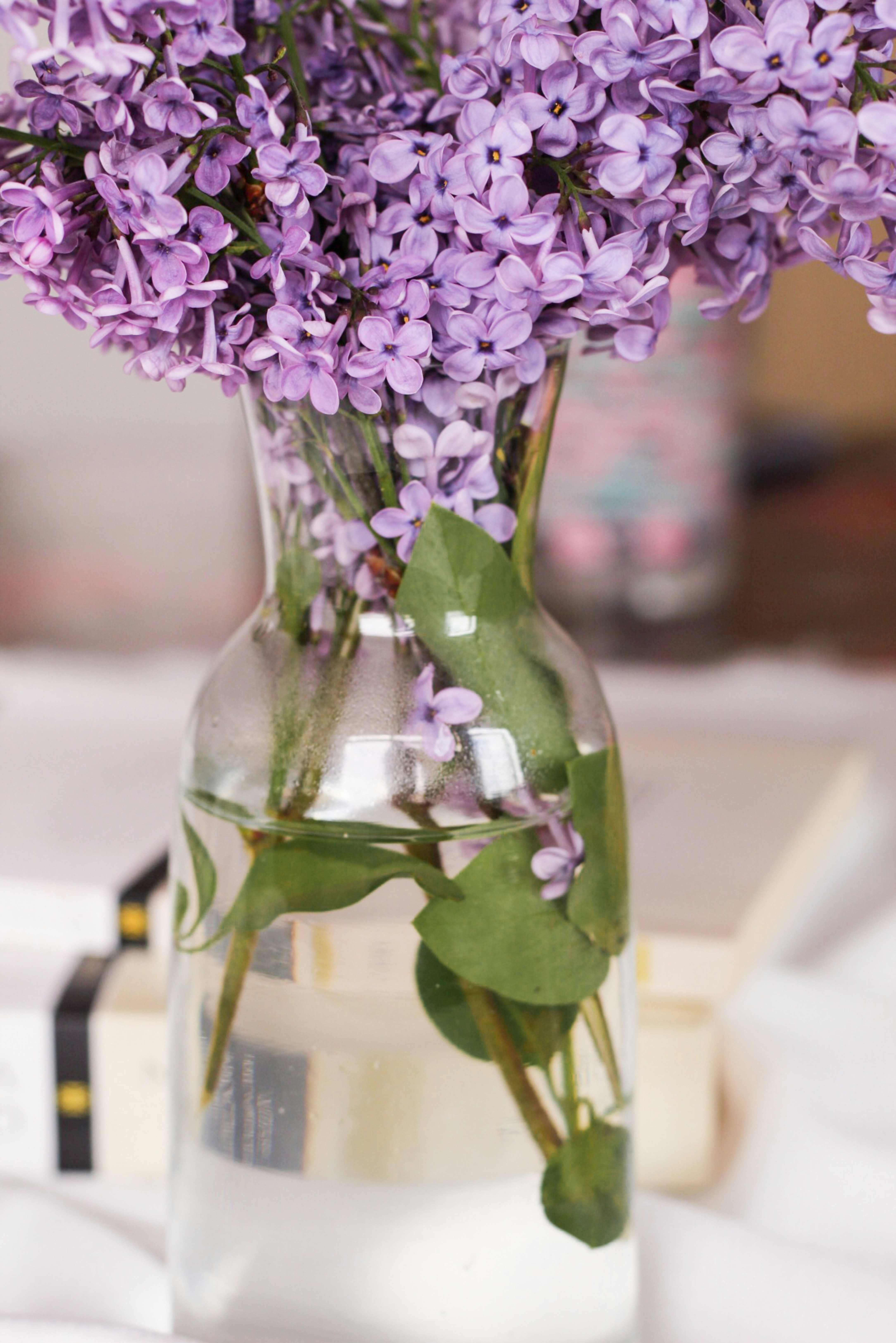 Photo by esrakorkmaz