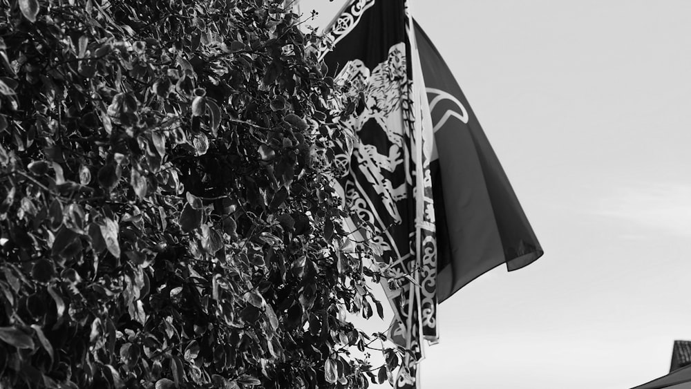 a black and white photo of a flag and a building