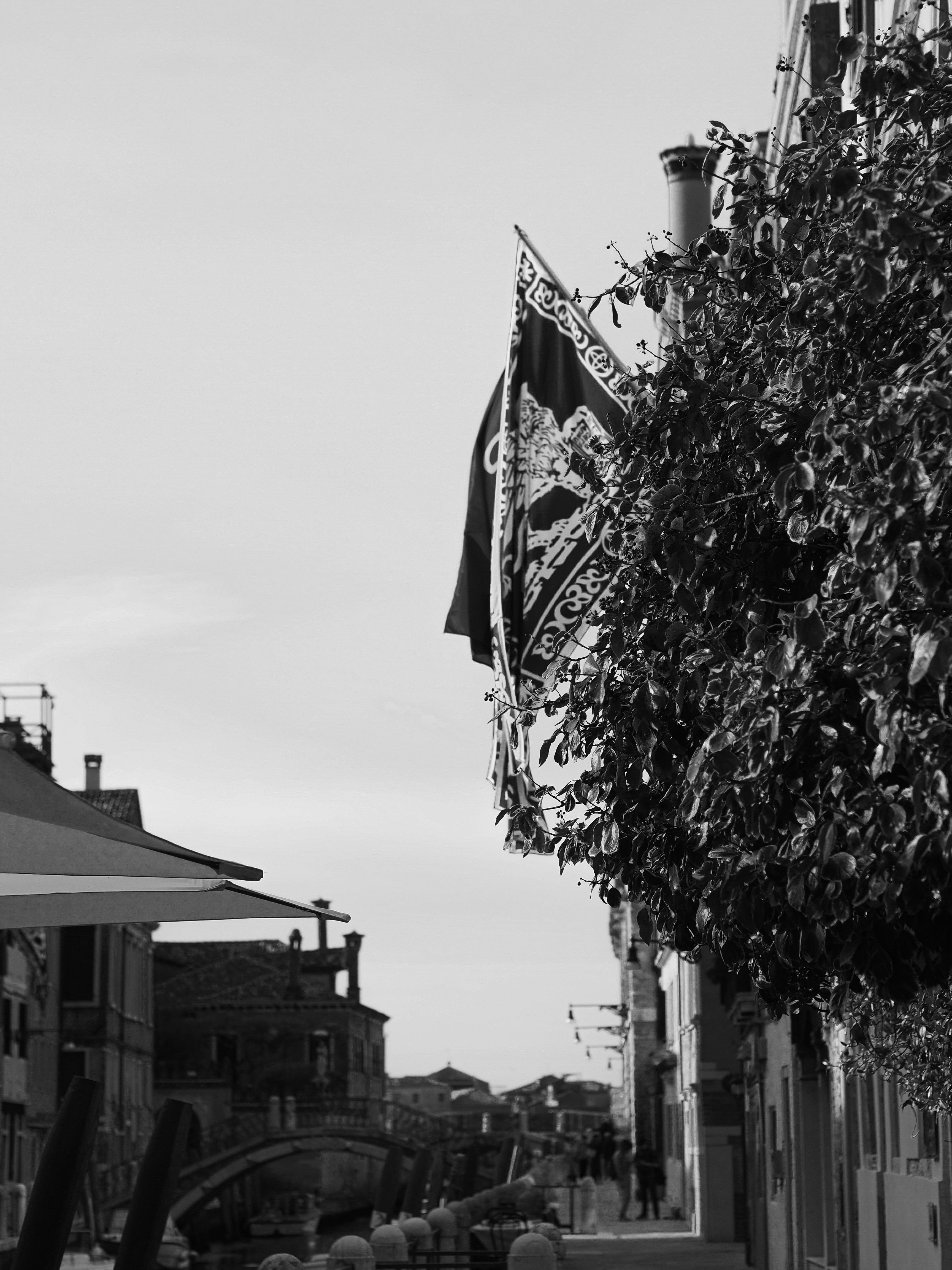 Photo by laurachouette