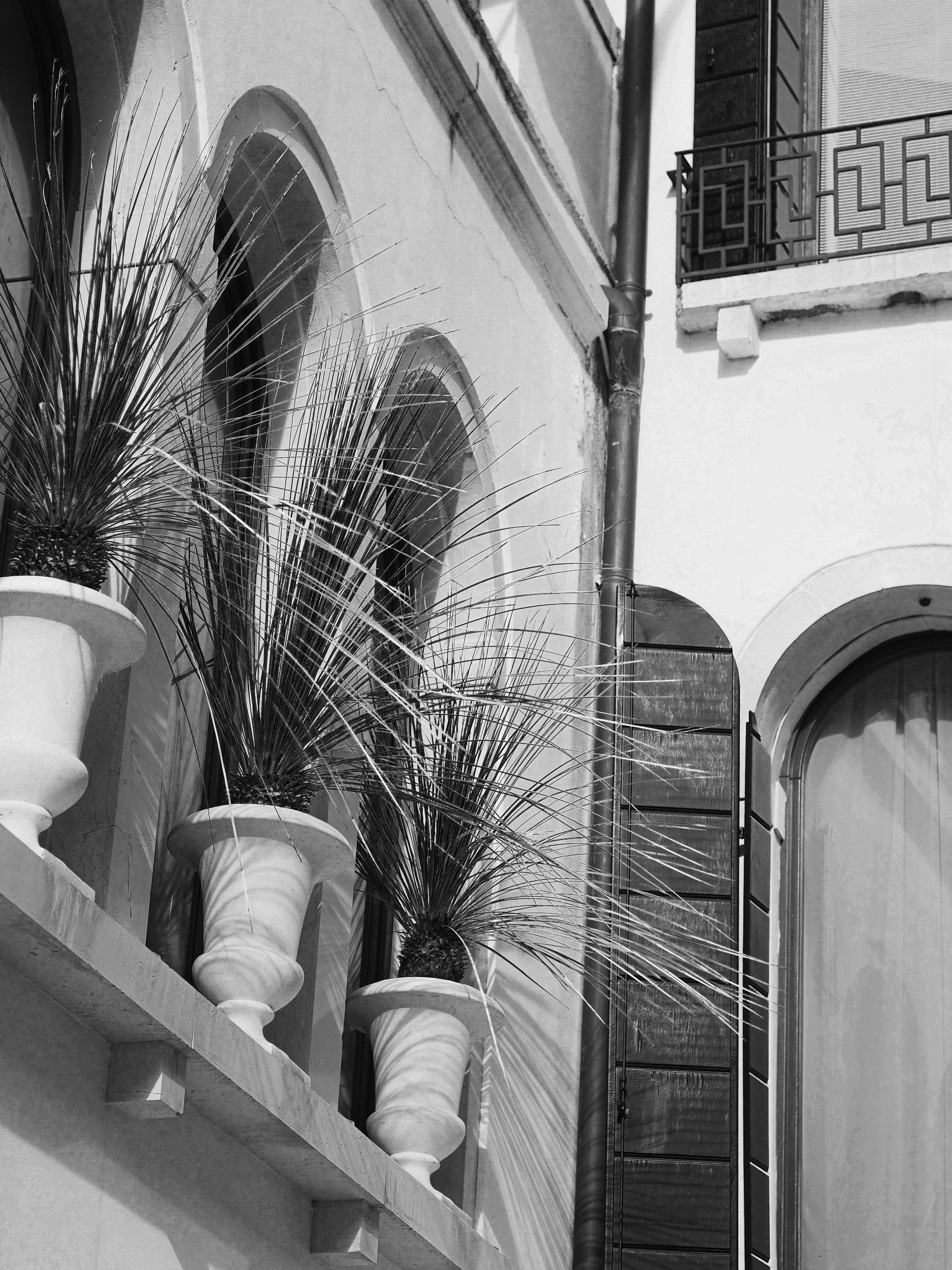 Photo by laurachouette