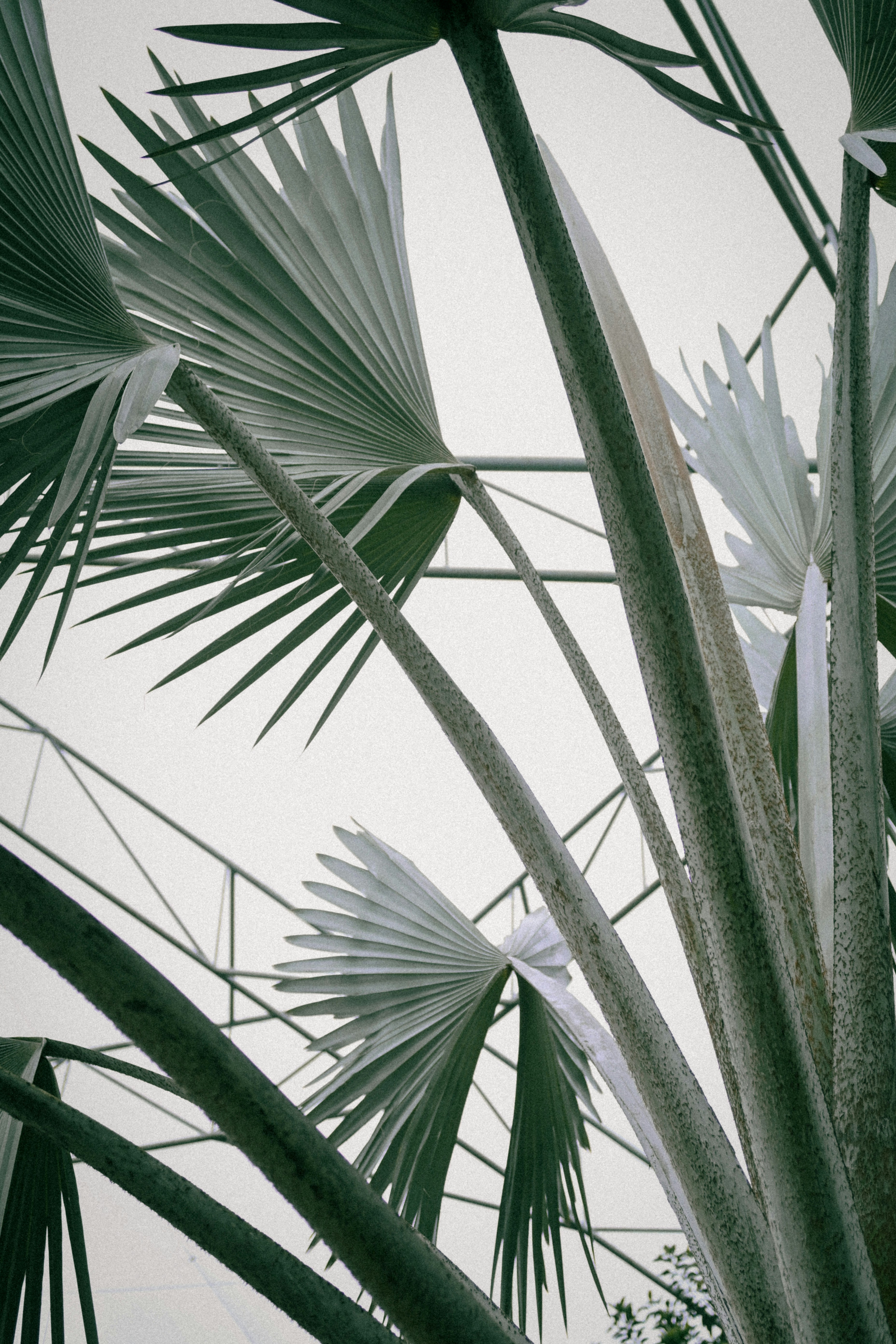 Photo by raidayzhang