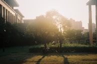 An interactive real-time Unreal Engine environment featuring a landscaped urban park with dynamic shadows.