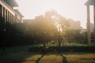 An interactive real-time Unreal Engine environment featuring a landscaped urban park with dynamic shadows.