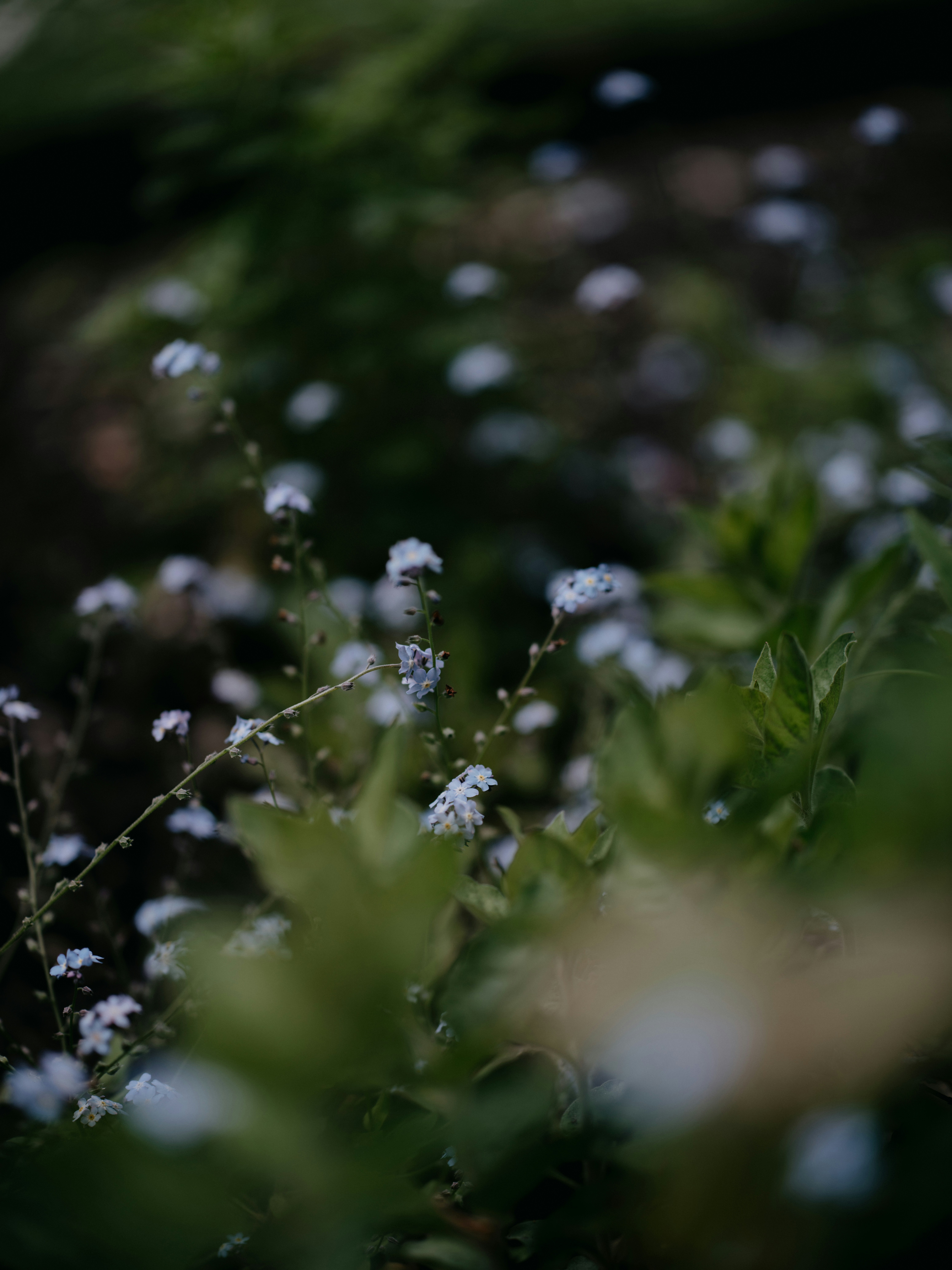 Photo by anniespratt