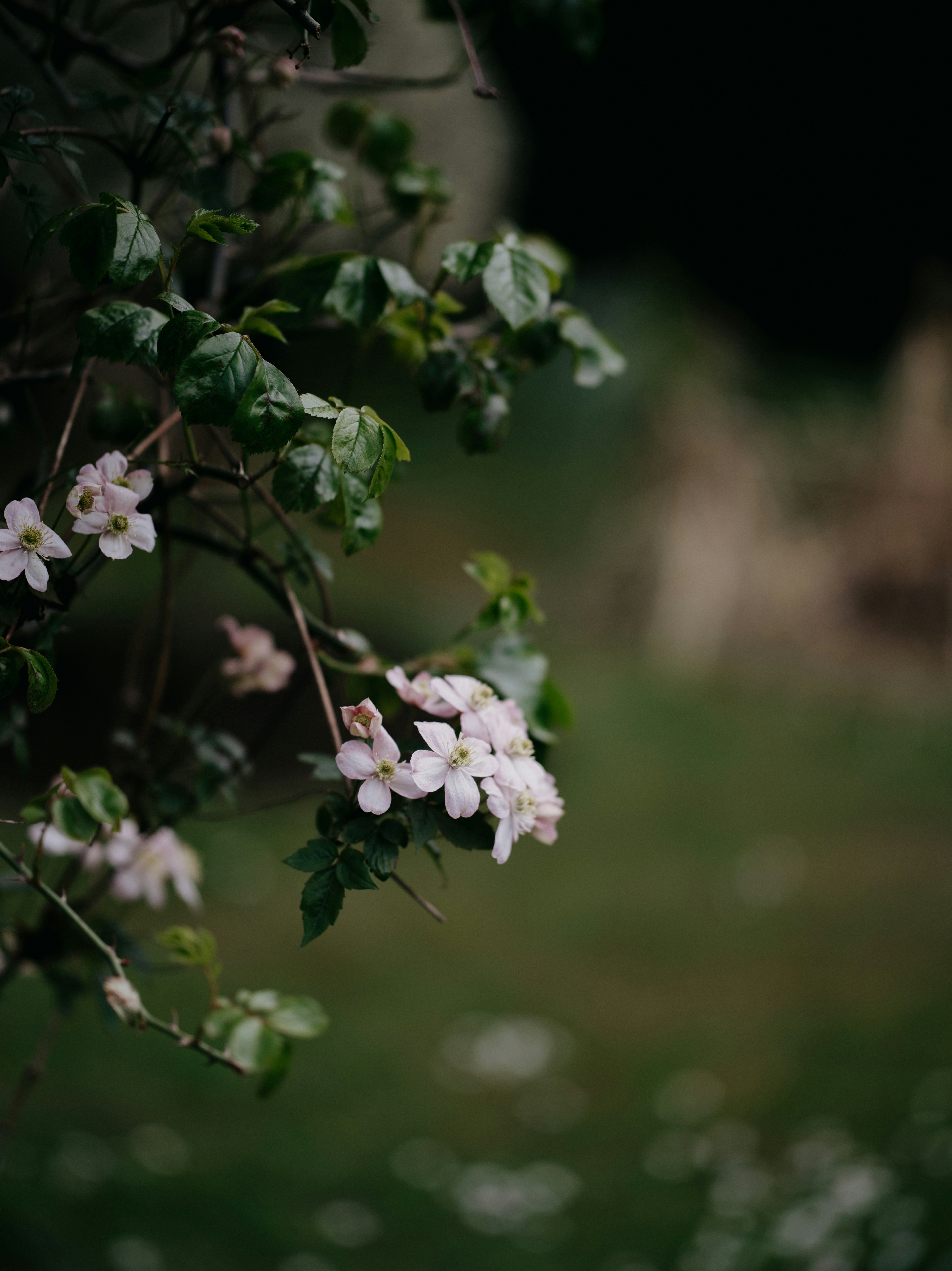 Photo by anniespratt