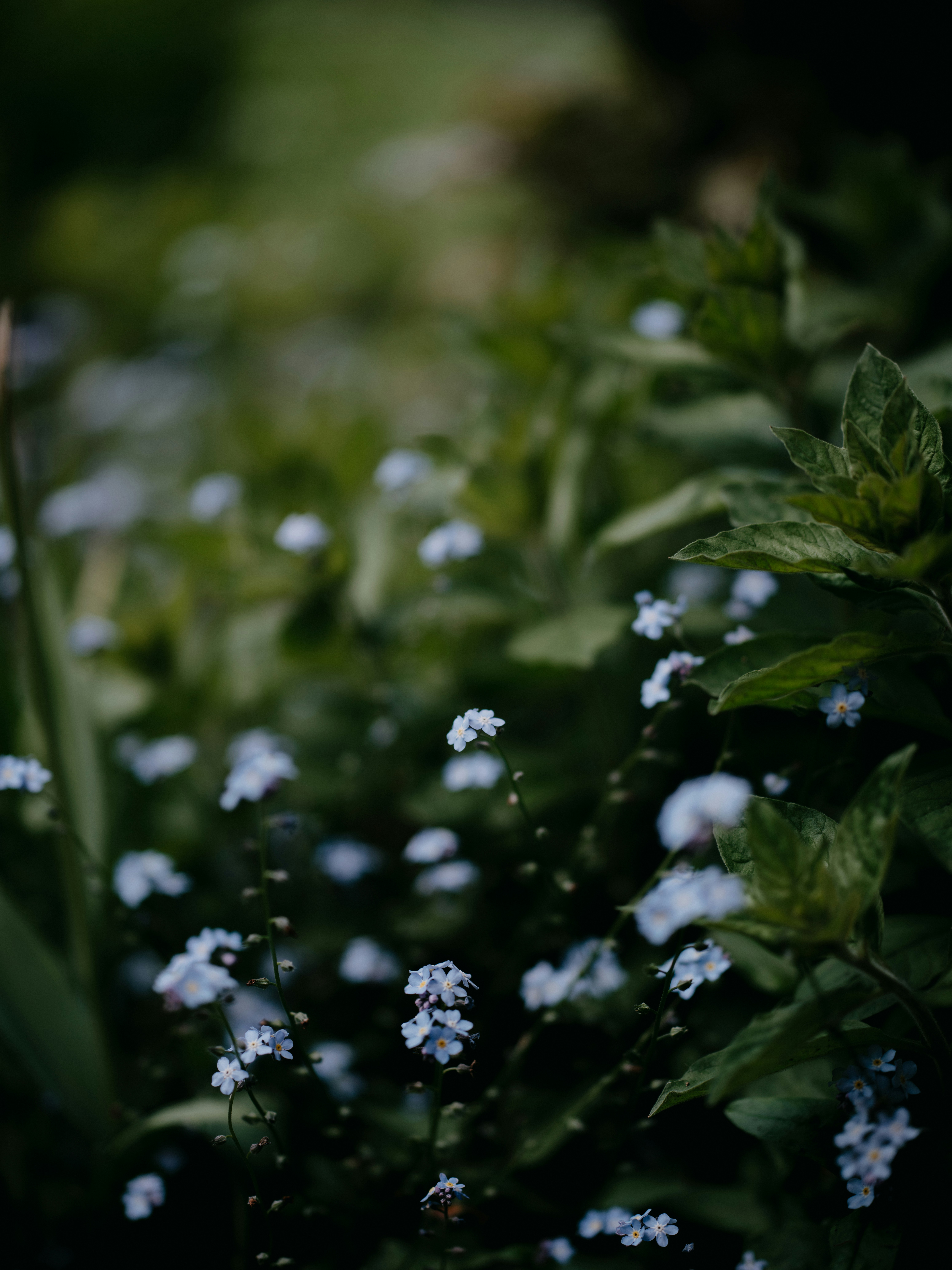 Photo by anniespratt