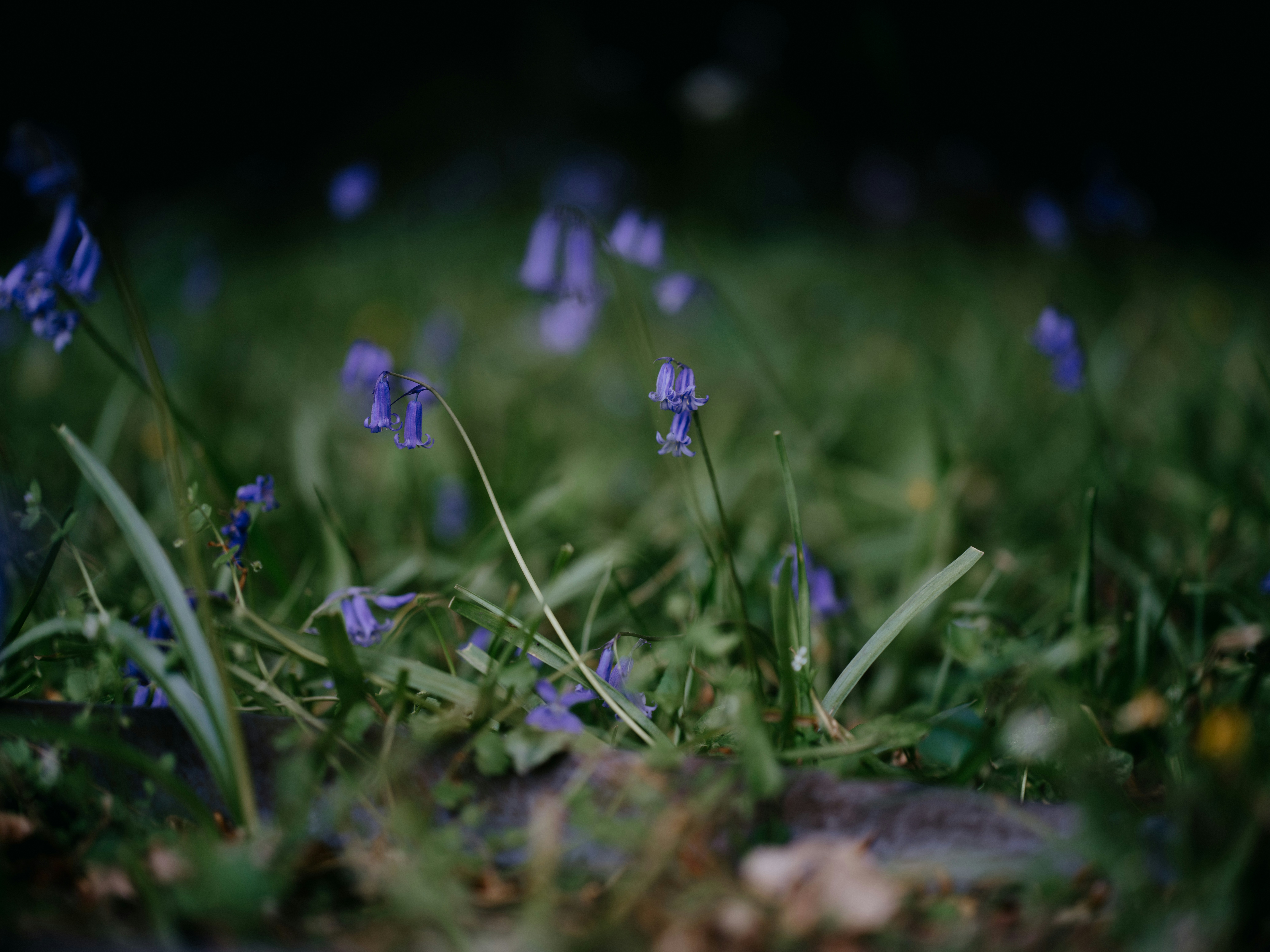 Photo by anniespratt