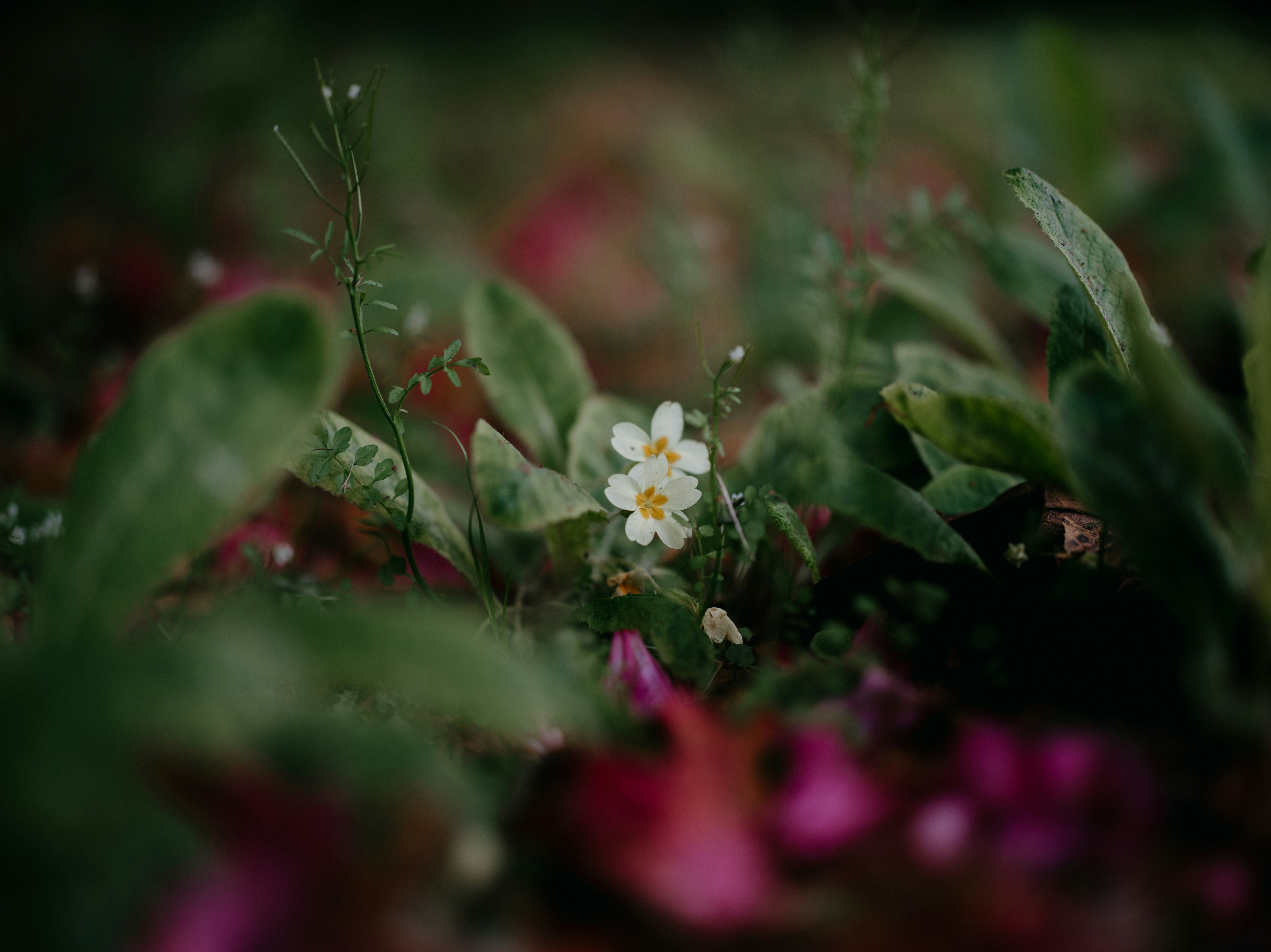 Photo by anniespratt