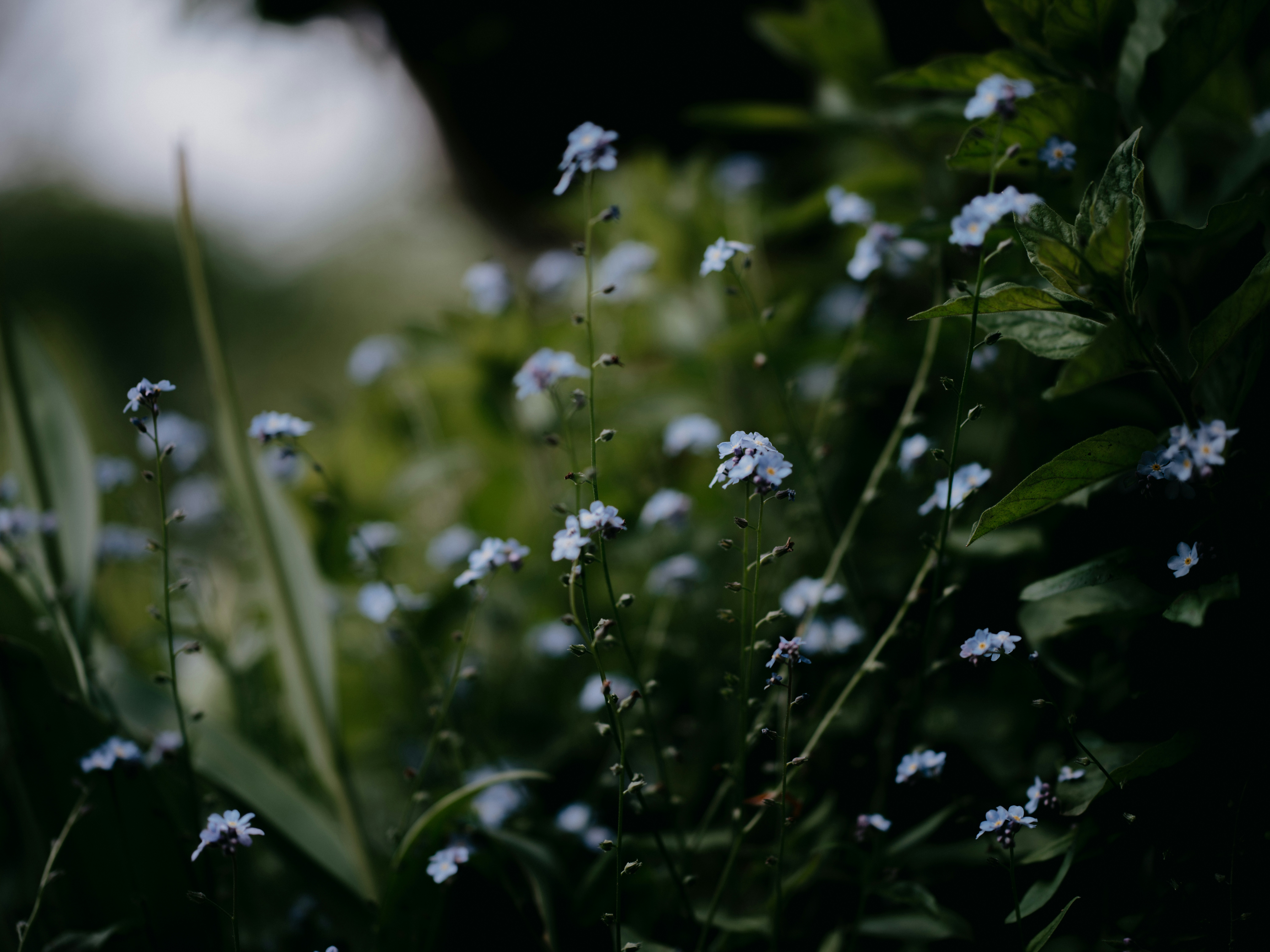 Photo by anniespratt