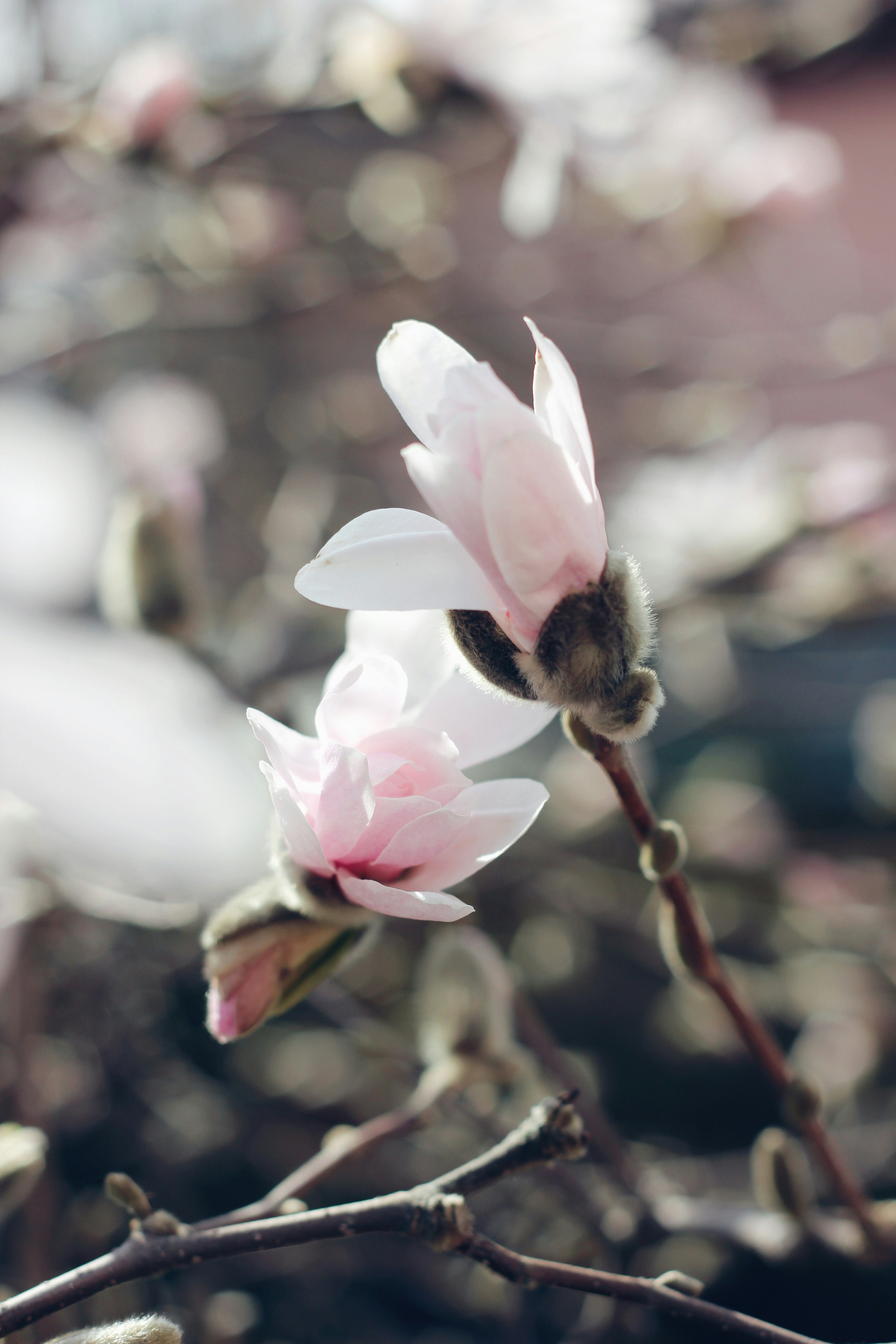 Kişiye Özel Magnet