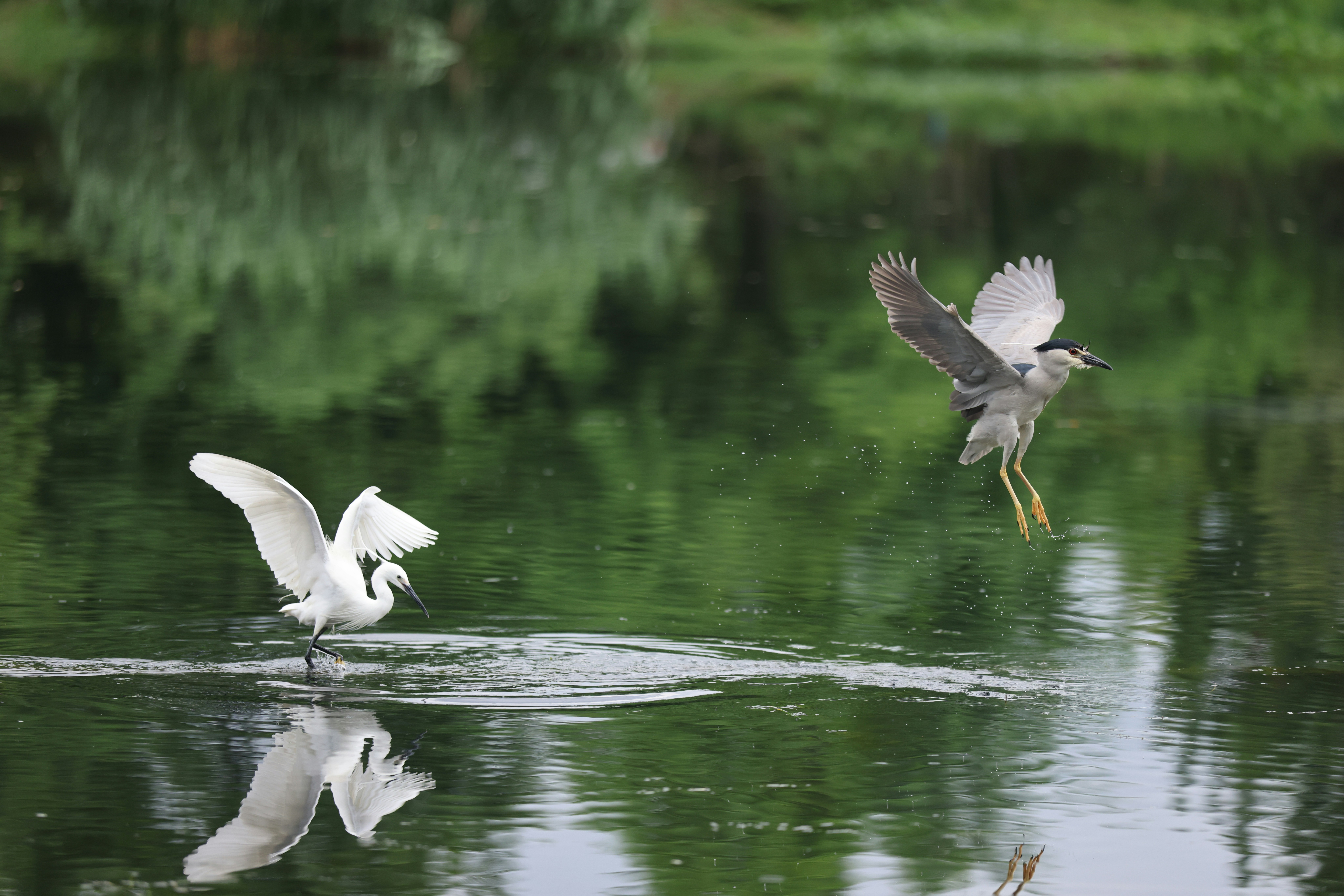 Photo by stevenjoezhang