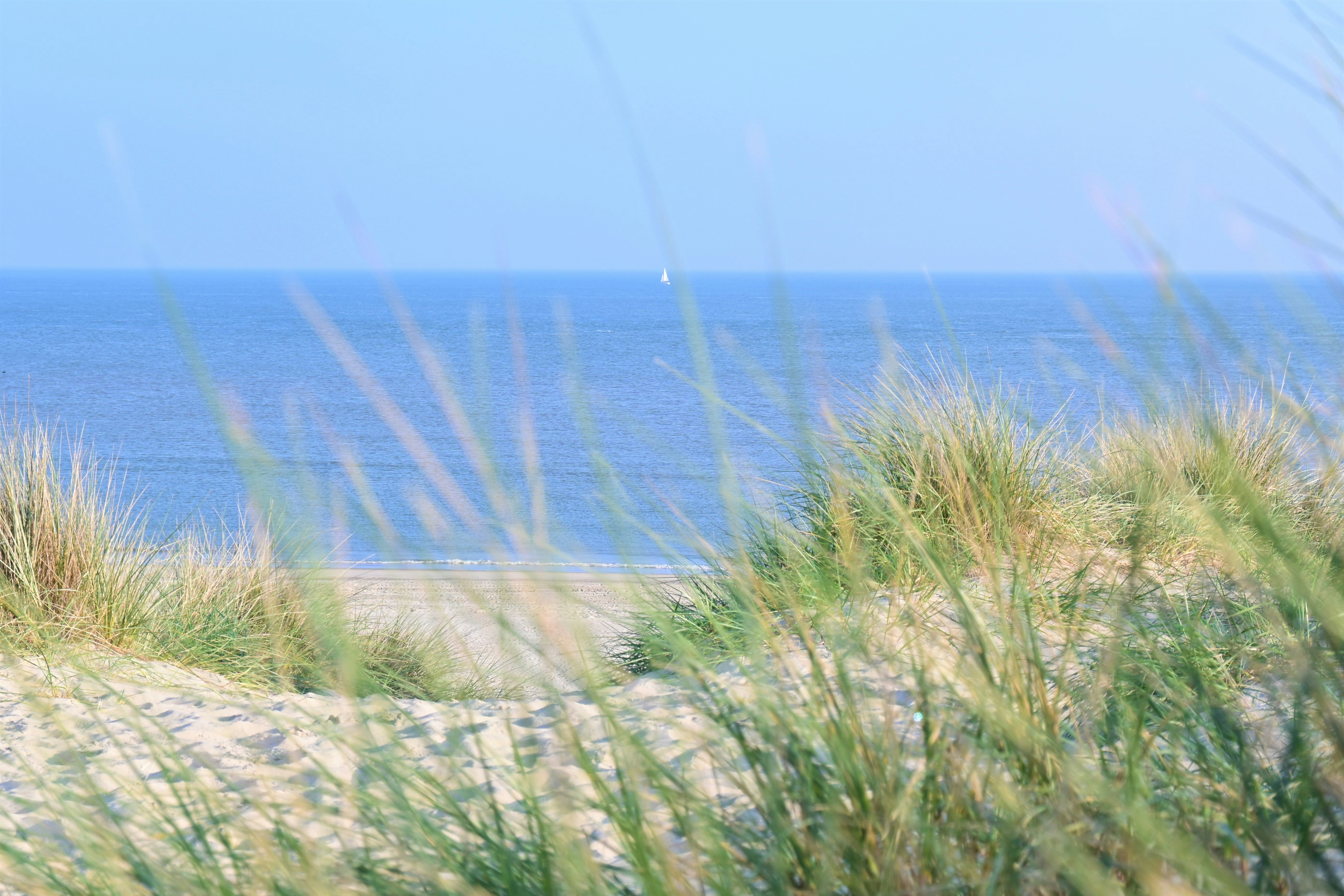 Photo by tiffany_matej