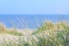Oost-Vlieland