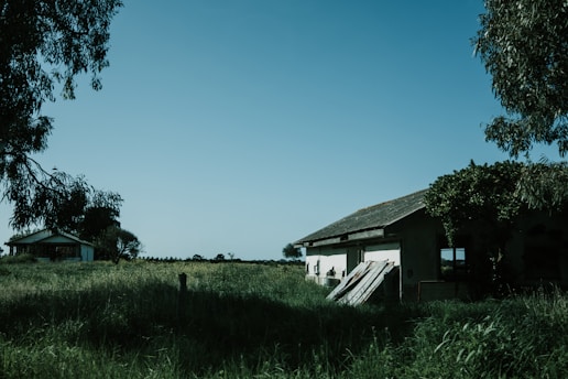 A rural landscape with two dilapidated houses made of wood and concrete, surrounded by overgrown grass and trees. The sky is clear, and the scene gives an impression of isolation and abandonment.