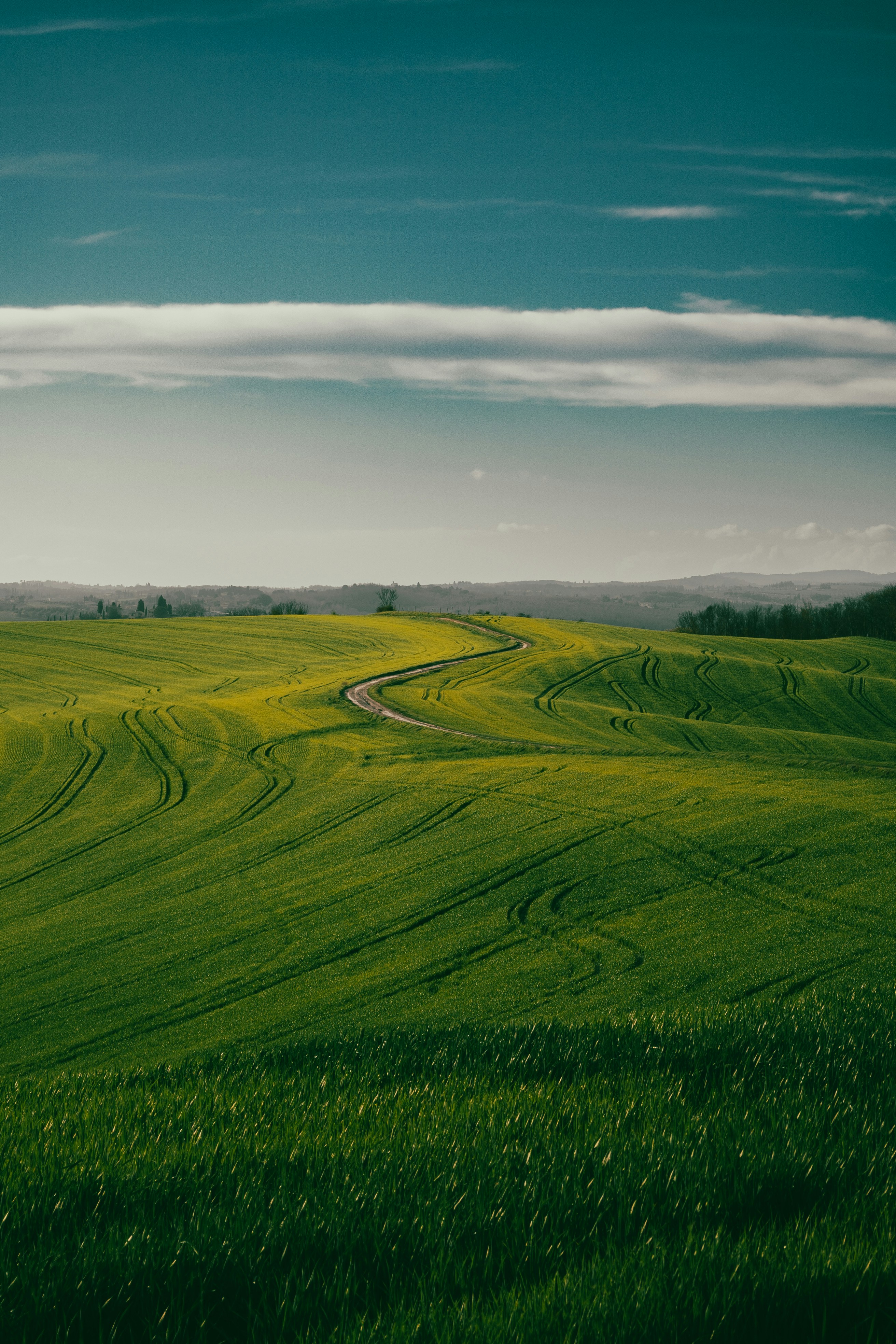 Photo by giuseppe798