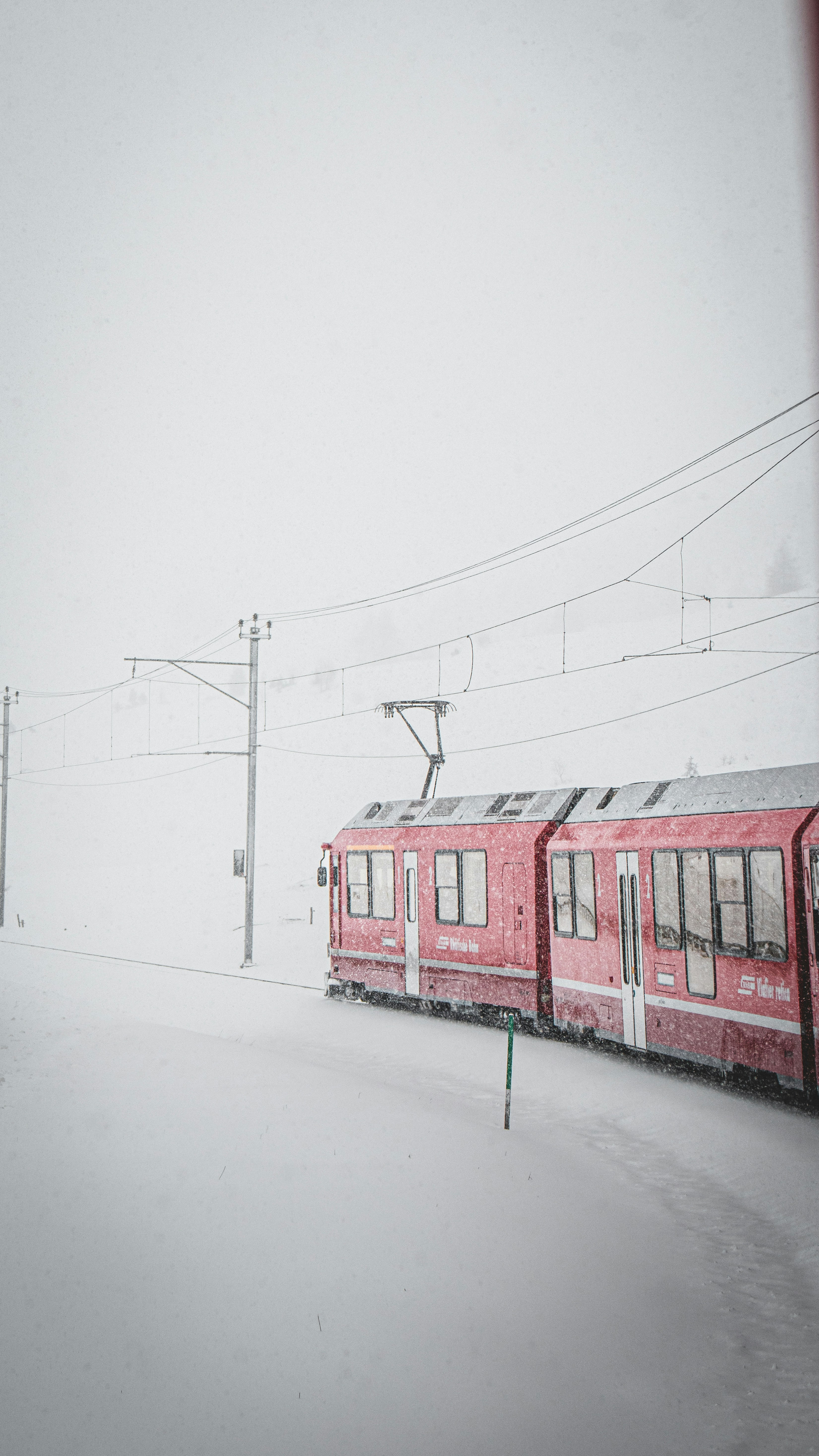 Photo by nirhimi