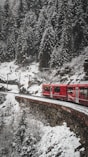 a red train traveling through a snow covered forest