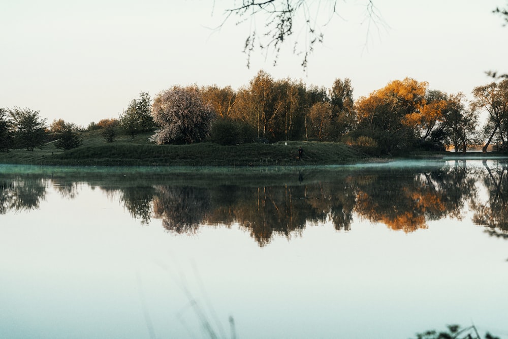 a body of water surrounded by trees and grass