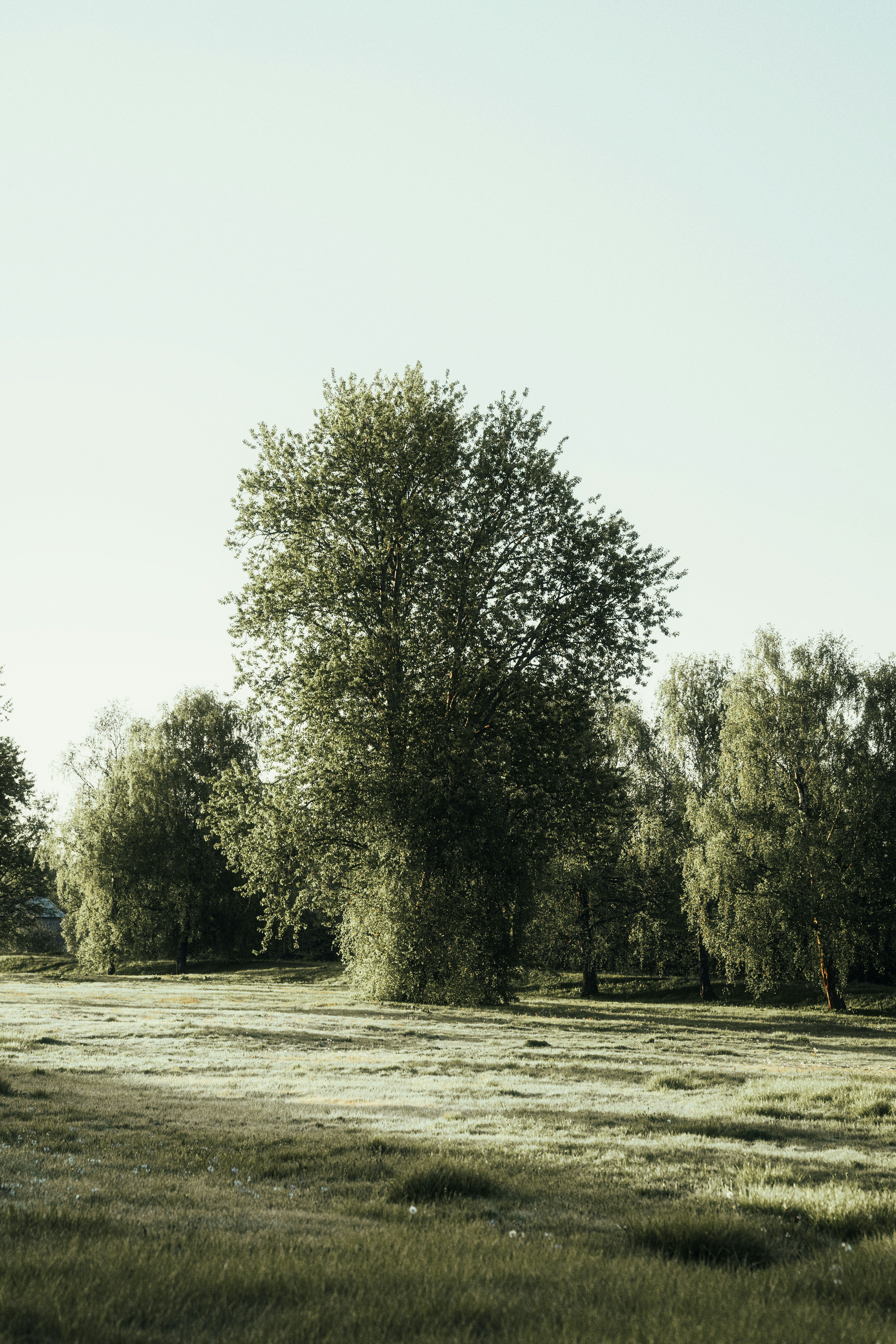 Photo by alexshuperart