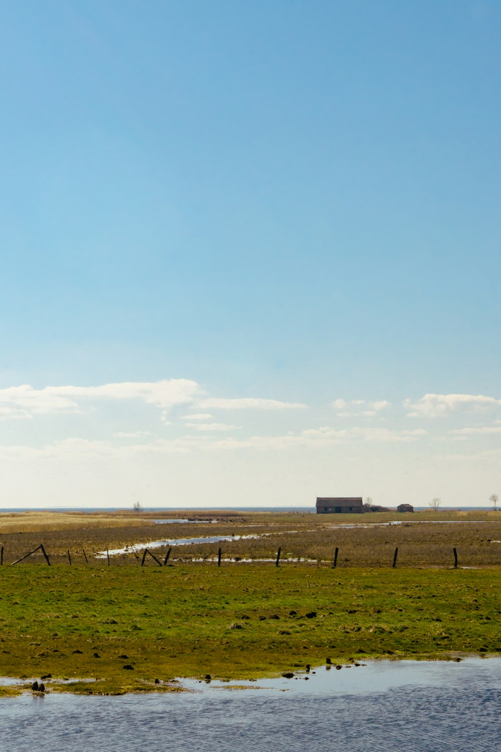 a grassy field with a body of water in the foreground