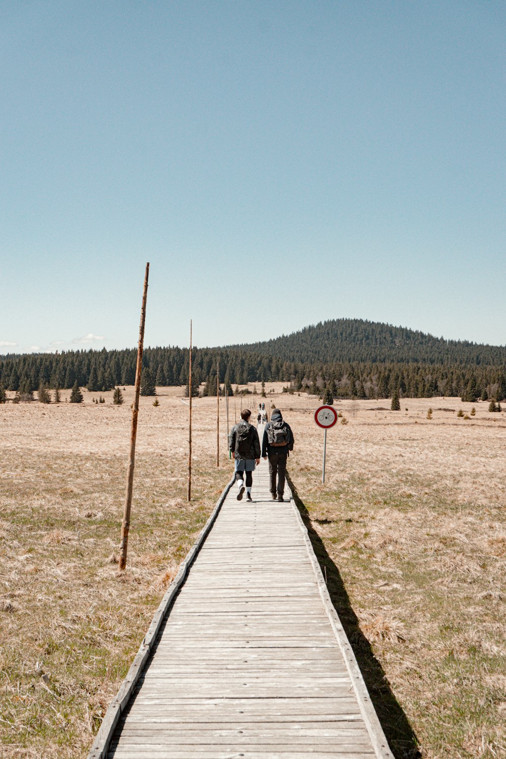 a group of people walking down a wooden walkway