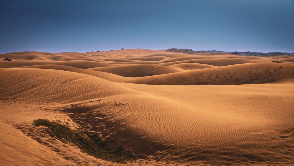 a group of people riding horses through a desert