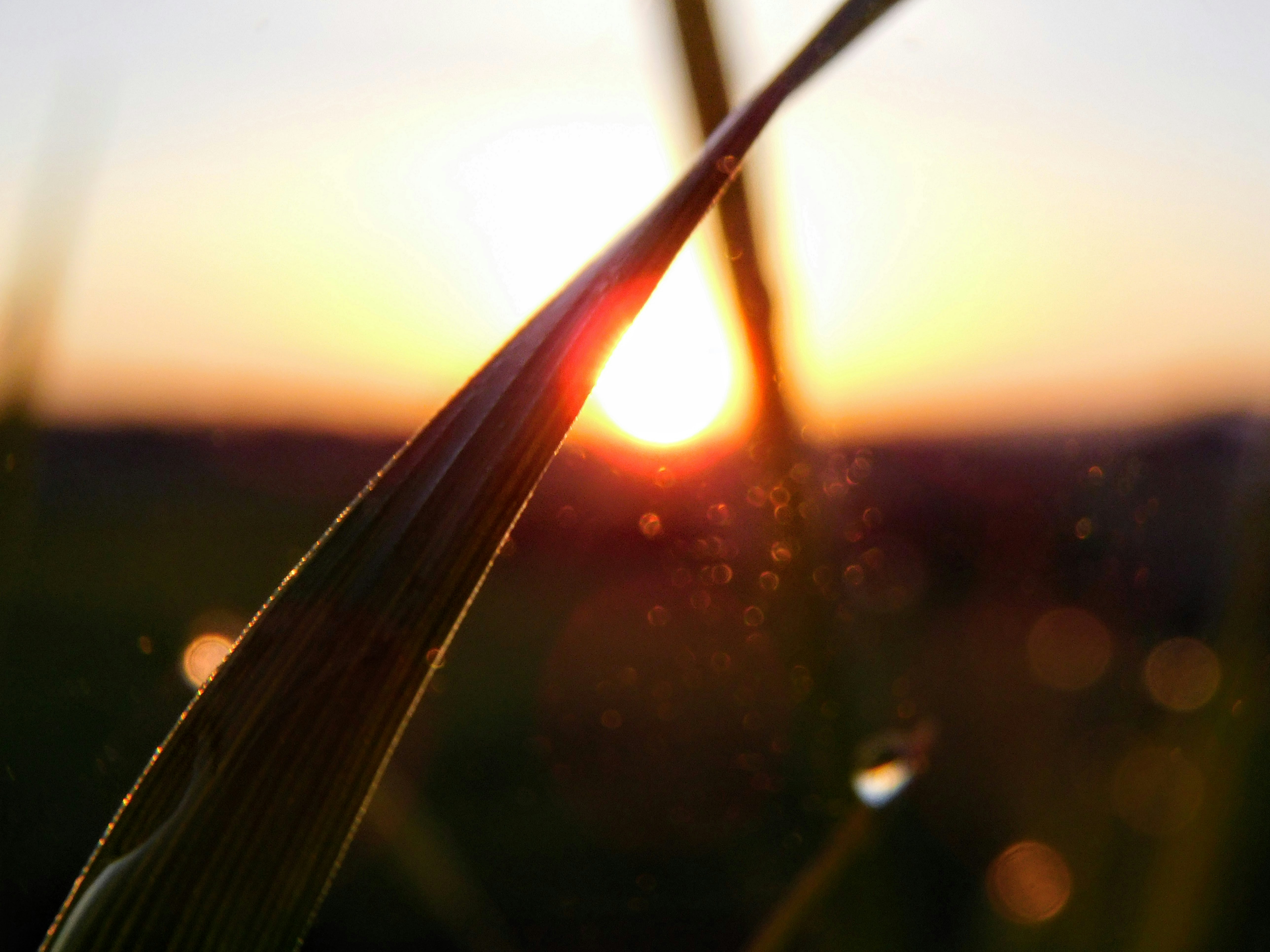 Photo by prphotography262